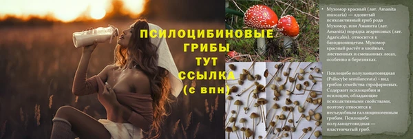 прущий лед Алексеевка