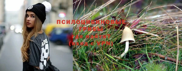 прущий лед Алексеевка