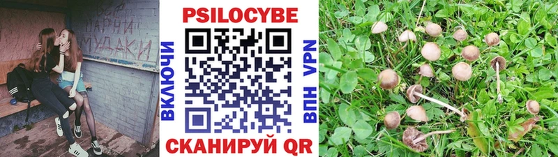 Псилоцибиновые грибы прущие грибы  Купить закладки  Пенза 
