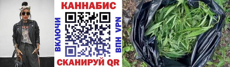 Купить где Пенза Каннабис индика